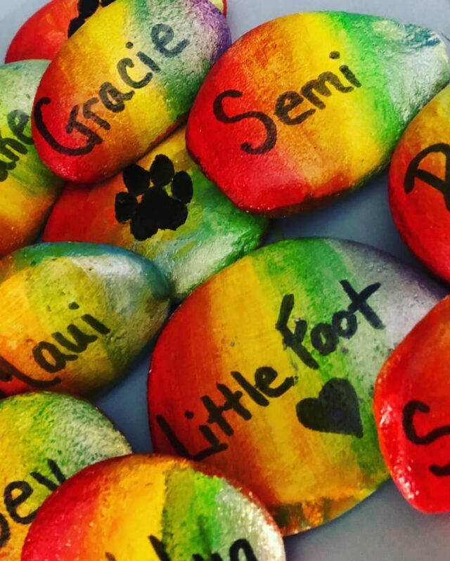 Dog memorial stones