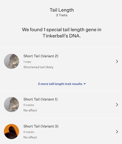 screenshot from Wisdom Panel