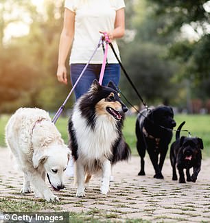 Love and respect for animals is essential for the job