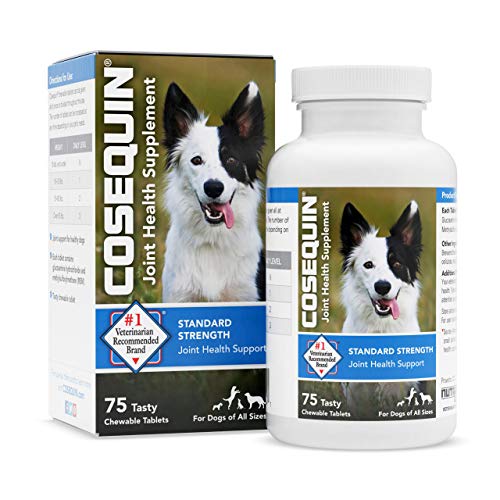 Cosequin for Dogs