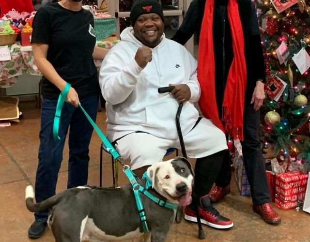 army vet shelter dog