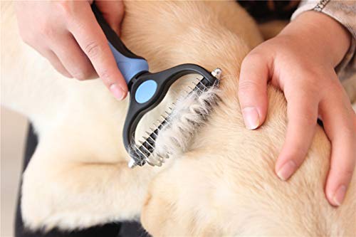 Maxpower Planet Pet Grooming Brush