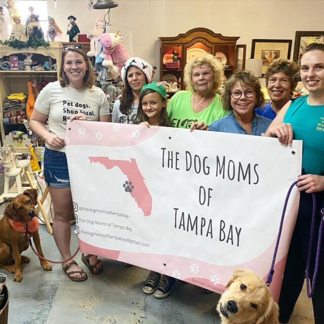 Dog Moms of Tampa Bay