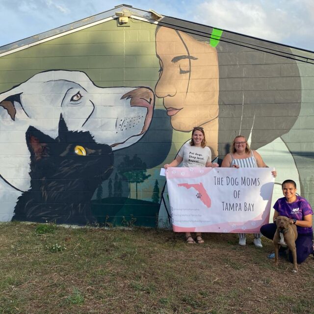 Dog Moms of Tampa Bay Mural
