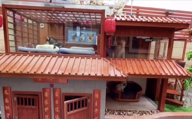 Dog bedrooms in mansion