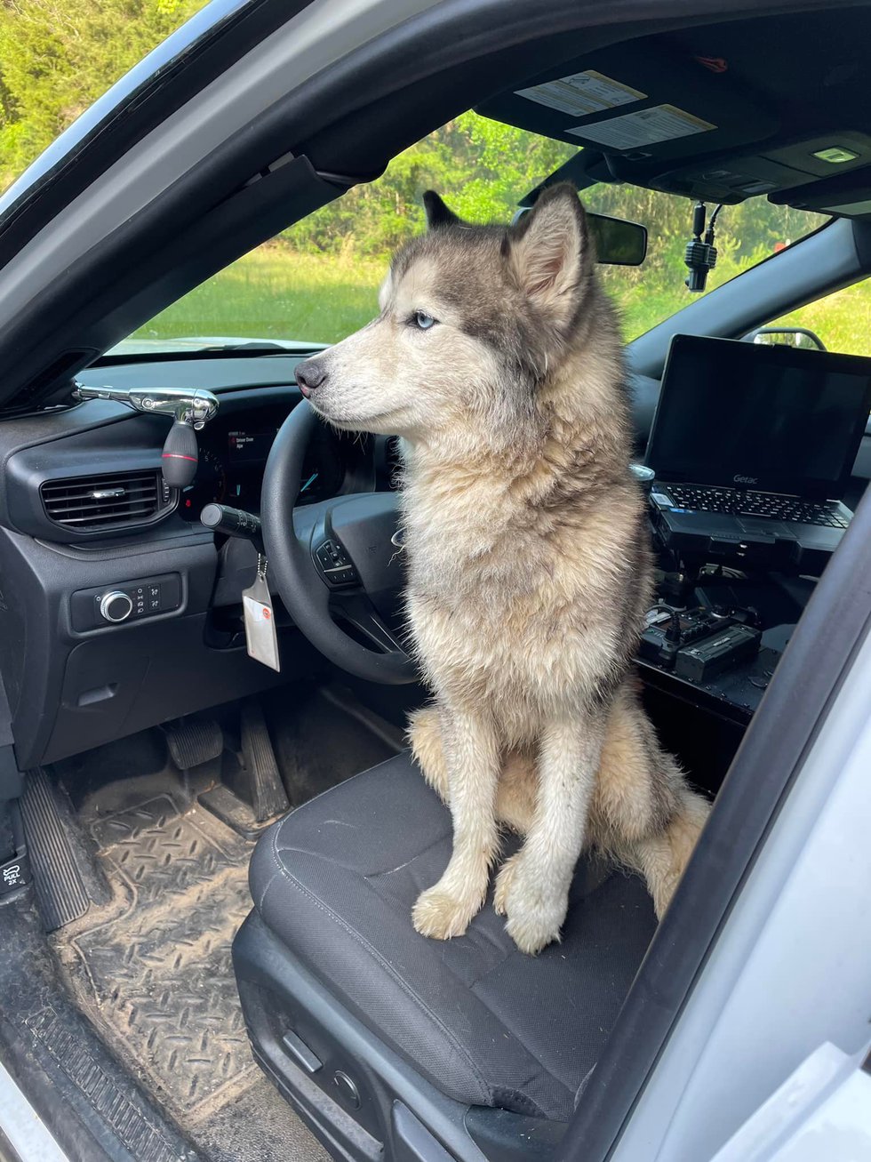 Deputy Cory Bourn with the Caddo Parish Sheriff's Office helped reunite this lost dog with its...