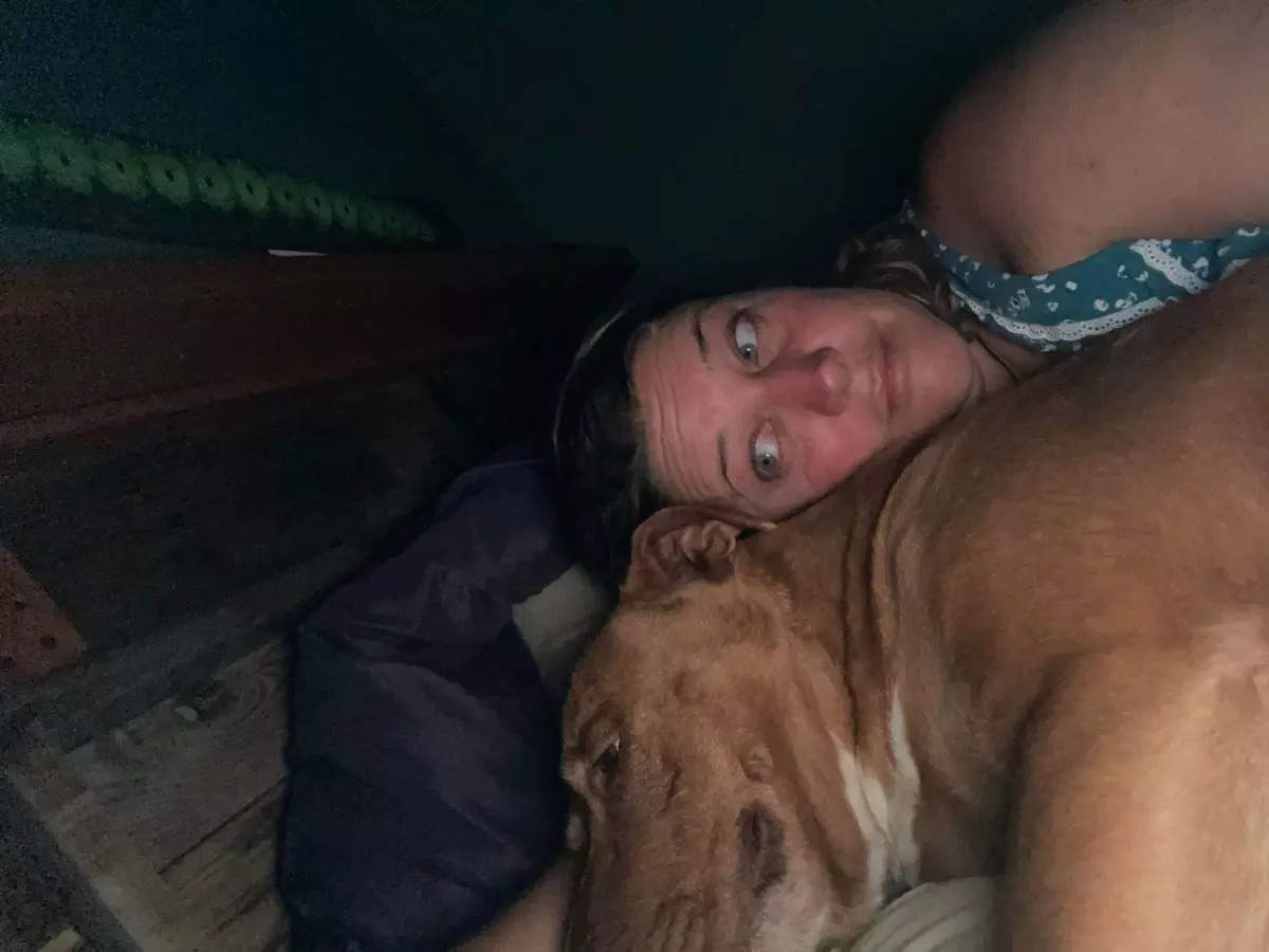 Im-paw-ster US couple wakes up to find strange dog snuggling in bed with them