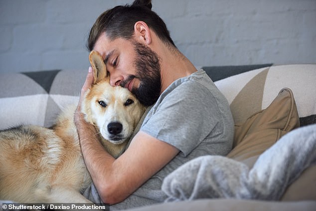 Dogs and humans are the only two species so far proved to feel love for one another (stock image)