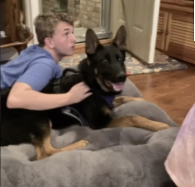 Teen's German Shepherd killed