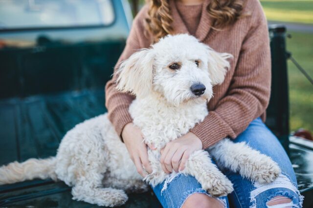 Woman holding dog