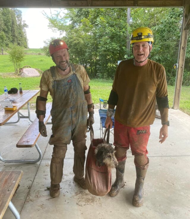 Men carrying dog to safety