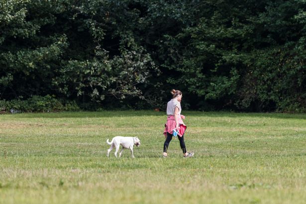 A dog walker at Heaton Park