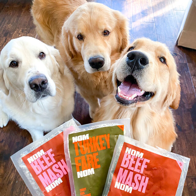 Dogs with Nom Nom food