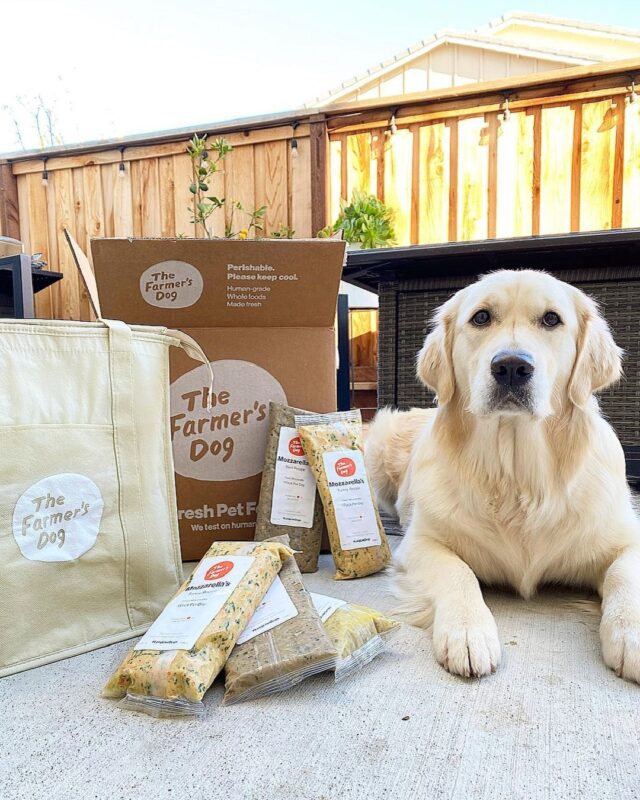 Dog with Farmer's Dog bags