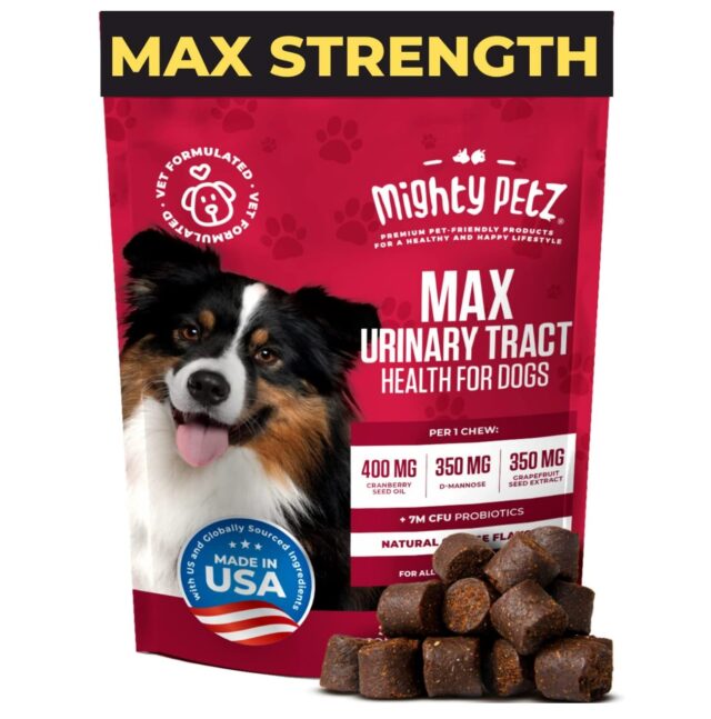 best urinary supplements for dogs
