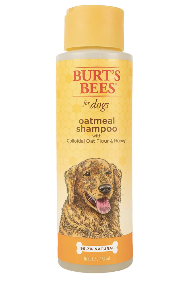 Burt's Bees Natural Dog Shampoo