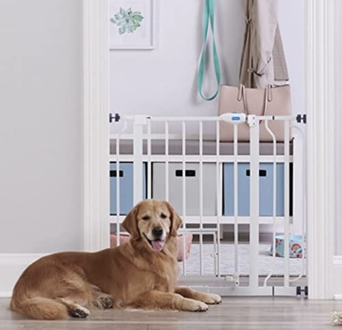 Walk-through pet gate