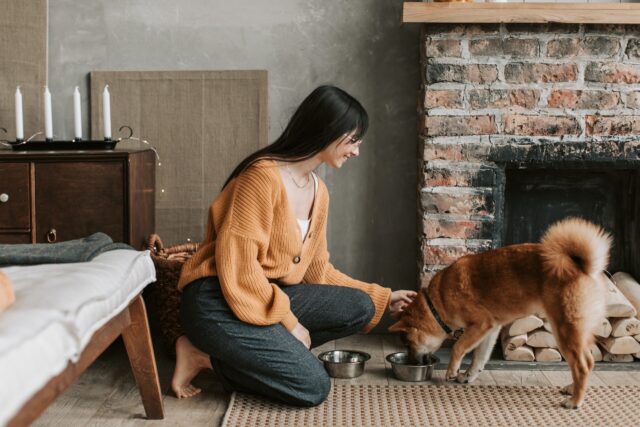 Person feeding best raw dog food