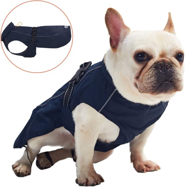 best raincoats for dogs