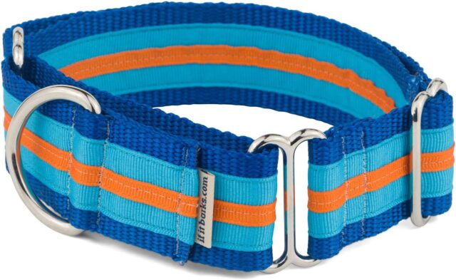 best dog collars