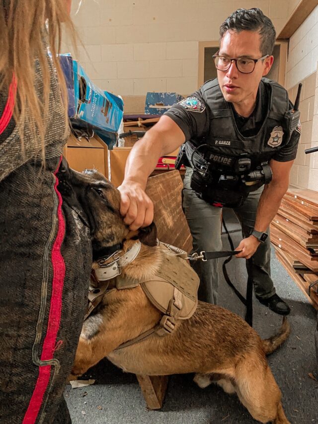 K9 Ghost