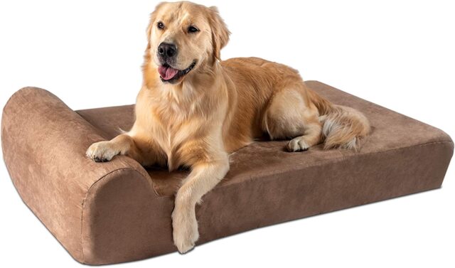 Dog laying on orthopedic bed