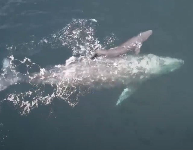 Mom and baby