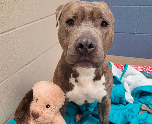 Bruno with plush pal