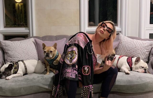 Lady Gaga and her dogs