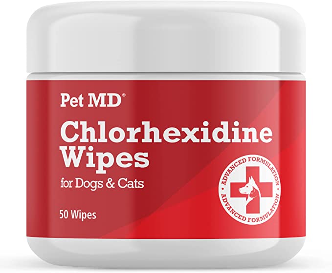 Bichon Frise skin itch relief