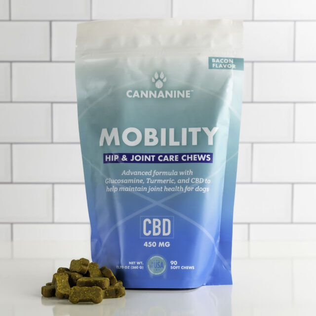 best hip and joint supplements for dogs
