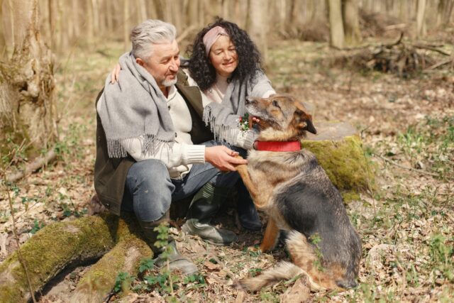 best hip and joint supplements for dogs
