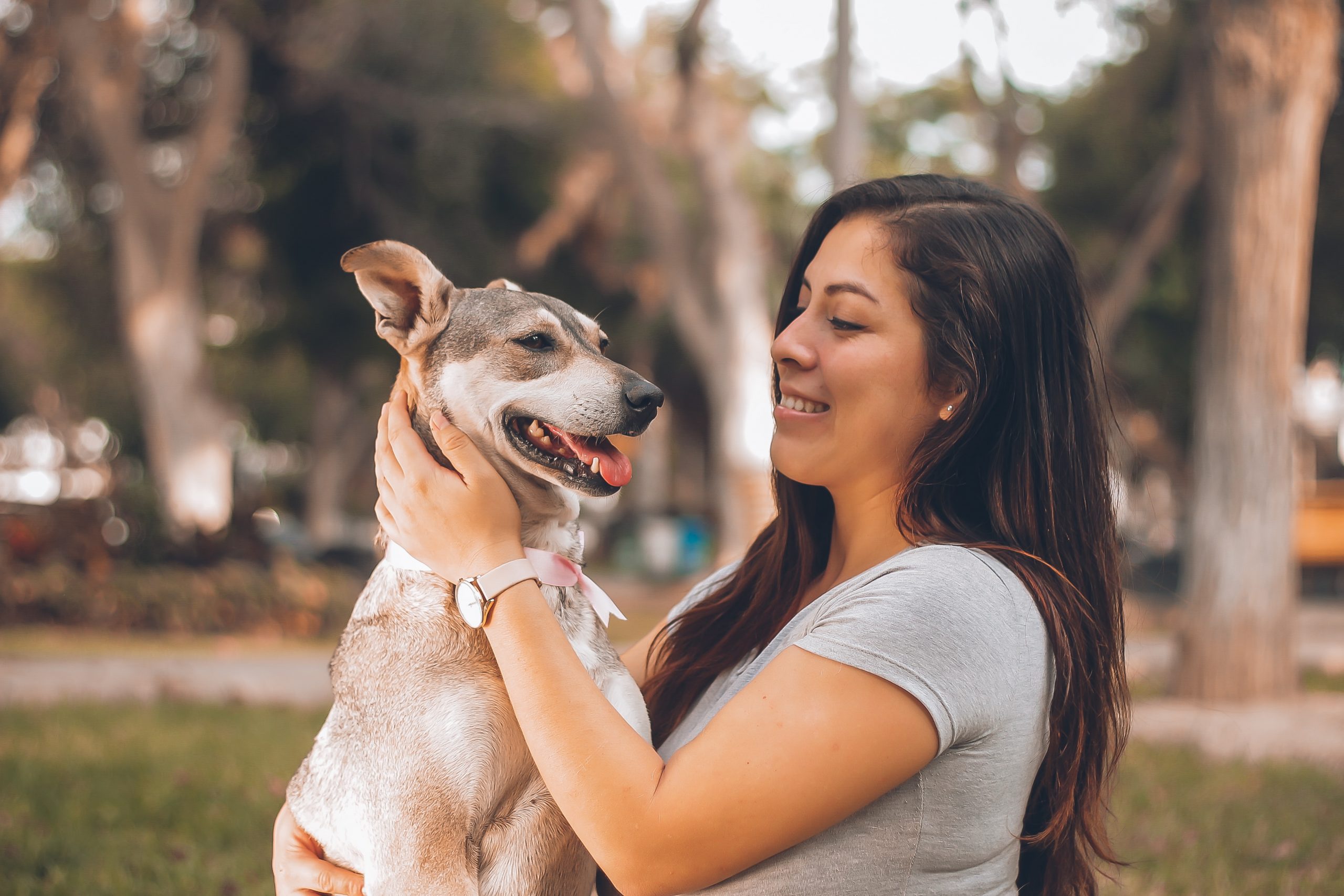 Best Apple Cider Vinegar Supplement for Dogs